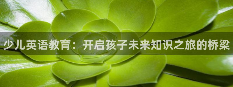 必一体育网址