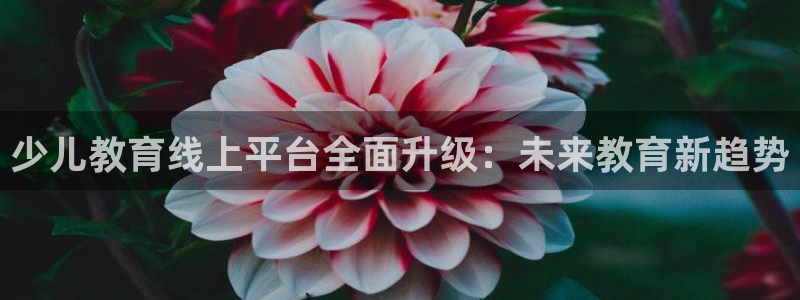 必一体育游戏特色