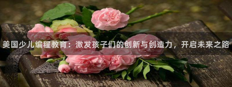 必一体育sport