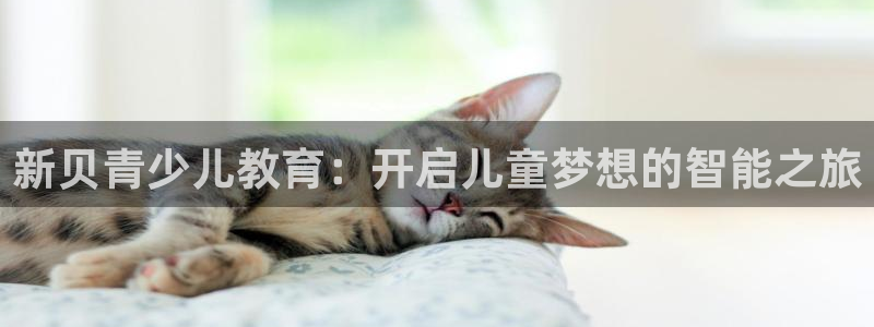 必一体育验证码