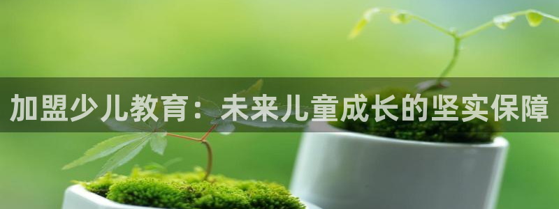 必一运动体育官网