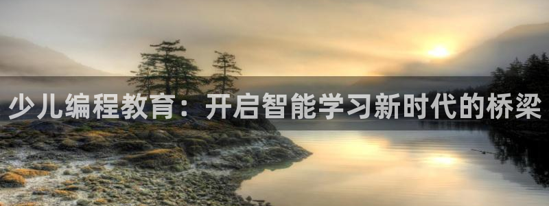 必一体育官方网站入口