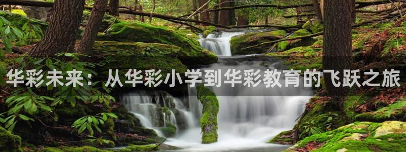 必一体育官方app下载