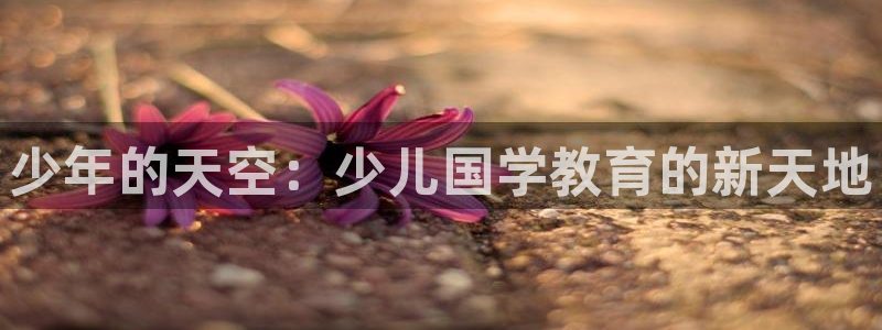 必一体育下载app下载