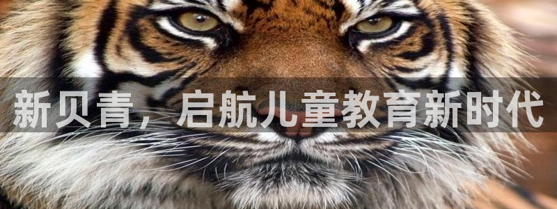 必一体育登录APP下载