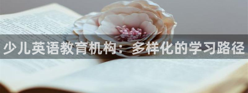 必一体育