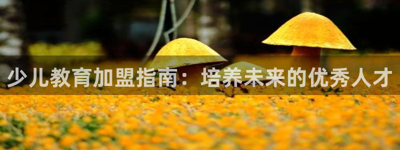 必一运动 b 体育素描版