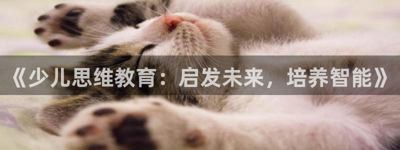 必一体育sport网页版